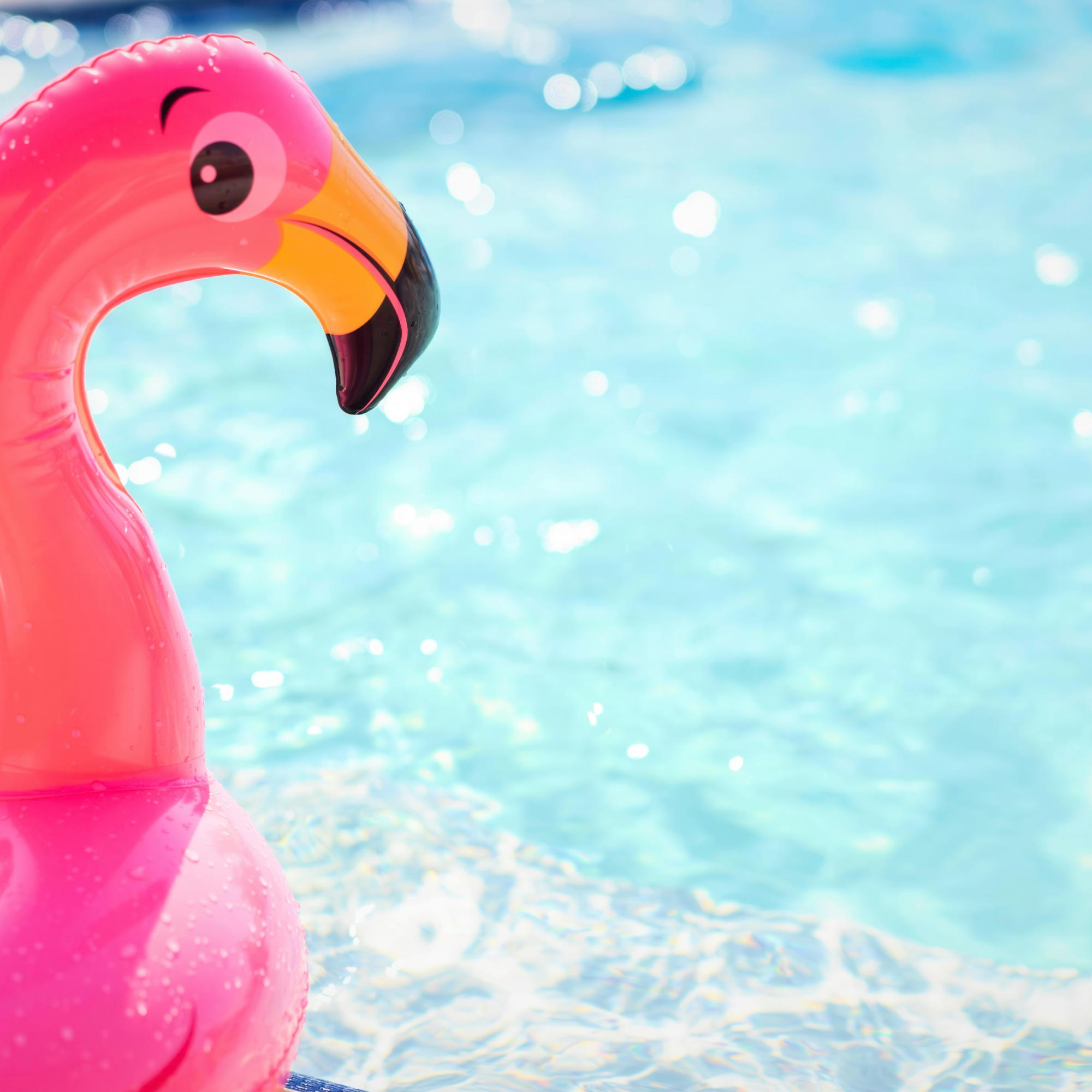 Pool Party